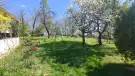 Fejér megye - Rácalmás