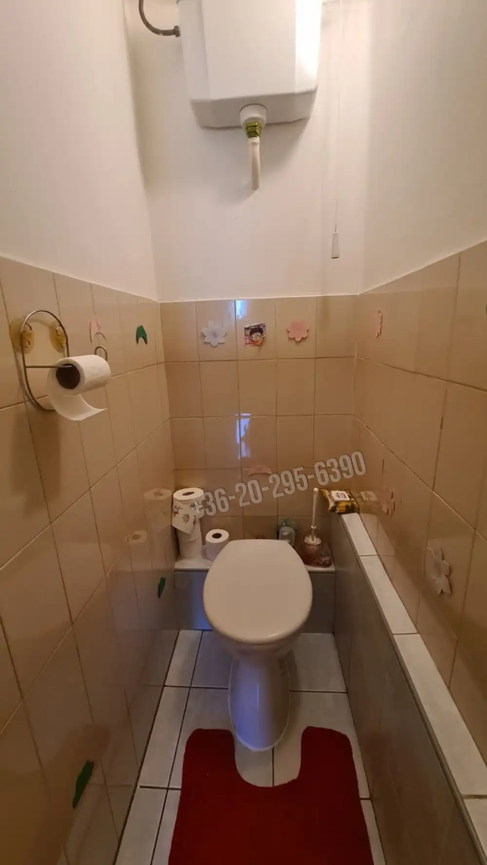 Fejér megye - Dunaújváros